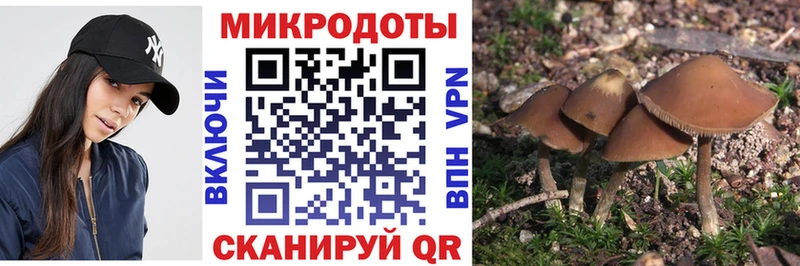 где можно купить Собинка Псилоцибиновые грибы ЛСД